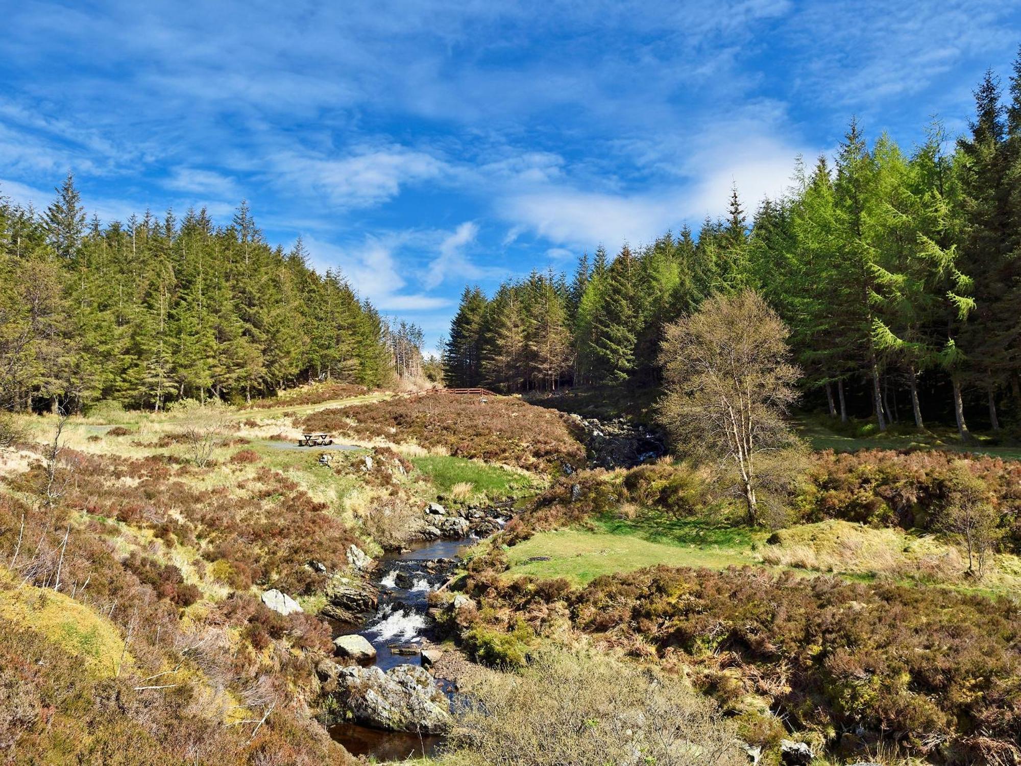 Wylies Brae Villa New Galloway Eksteriør billede